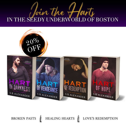 Romantic Suspense Paperback Bundle - S.B. Alexander Books